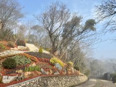 -青龙山公园
