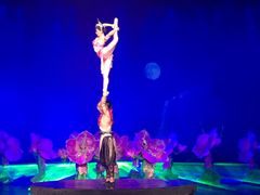 -三亚千古情景区游客中心-接待中心