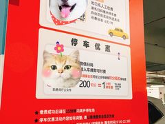 -莘庄龙之梦停车场