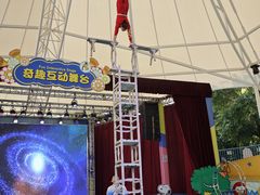 -史努比缤纷世界