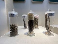 -广东中医药博物馆