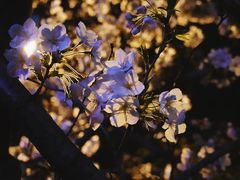 -永乐路-路侧停车场