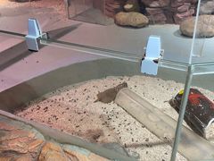 -正佳雨林生态植物园