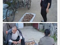 -室韦小镇