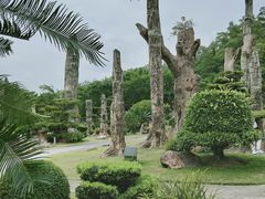 -深圳仙湖植物园