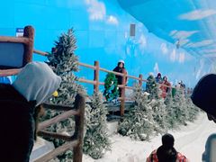 -世界之窗阿尔卑斯冰雪世界