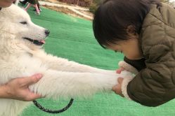 -萌宠亲子动物乐园(槐房万达店)