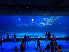 -烟台海昌鲸鲨海洋公园