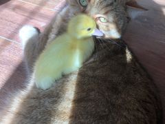 -三旗百汇商品城