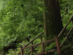 -东天目山风景区