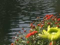 -杭州植物园