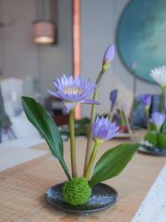 -圣贝拉母婴护理中心(深圳莱佛士店)