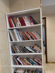 -碧莲盛·不剃发植发