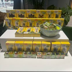 -IMON·HANSA潮玩玩偶毛绒玩具(通州万象汇店)