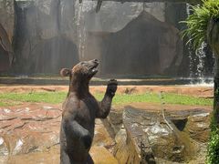 -海南热带野生动植物园