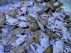 -聚盛源蒸汽海鲜火锅烤肉自助(巨川金海岸购物广场店)