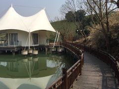 -帐篷客·溪龙茶谷度假酒店