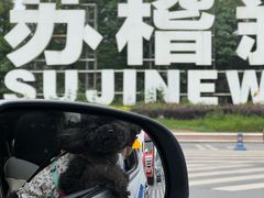 -小杨翘脚牛肉