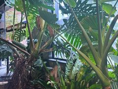 -J Create城市露营咖啡·简餐·宠物(上海动物园店)