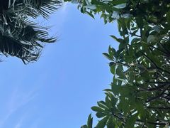 -深圳湾公园(南山区)