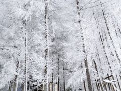 -武当山风景区
