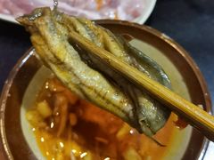 -肥龙火锅(南坪店)