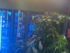 -唱吧麦颂KTV(高新店)