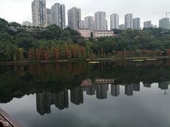 -重庆彩云湖湿地公园