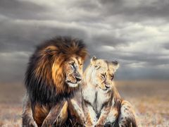 -罗红摄影艺术馆