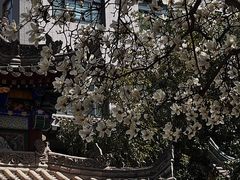 -罔极寺