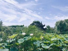 -花溪公园