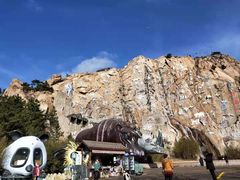 -西霞口神雕山野生动物世界