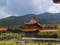-深圳仙湖植物园