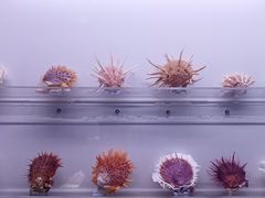 -山东博物馆