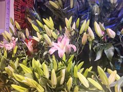 -三旗百汇商品城