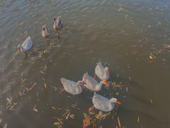 -汉长安城未央宫国家考古遗址公园