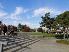 -洨河生态公园