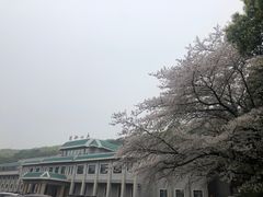 -武汉大学-樱园