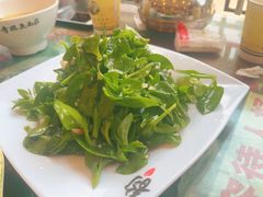 凉拌田七苗-小李旗花面庄