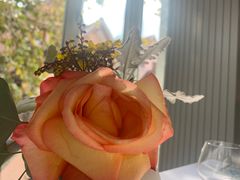 -蝶舍·MAISON PAPILLON