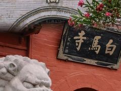-洛阳白马寺