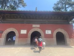 -普乐寺