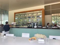 -金泽21世纪美术馆