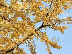 -首义路(地铁站)