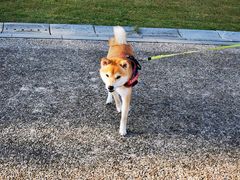 -上海月湖雕塑公园