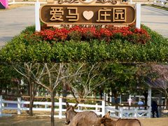 -盈香心动乐园