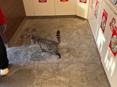 -正阳书局(西四南大街店)
