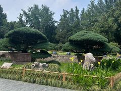 -水绘园