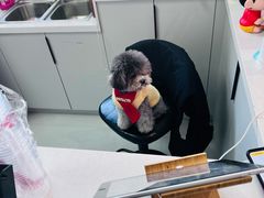 -seeu coffee(江滩店)