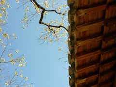 -塔川景区